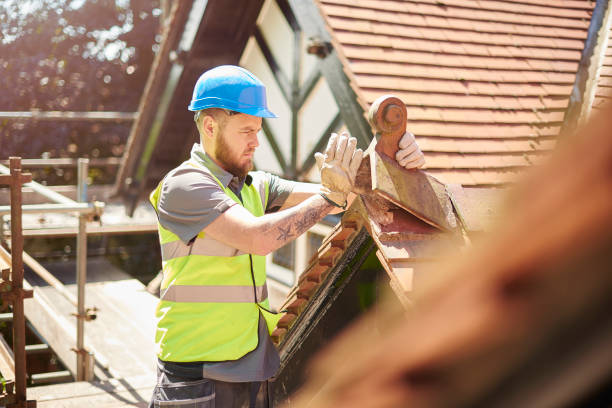 Best Flat Roof Repair Services  in Chicago Heights, IL